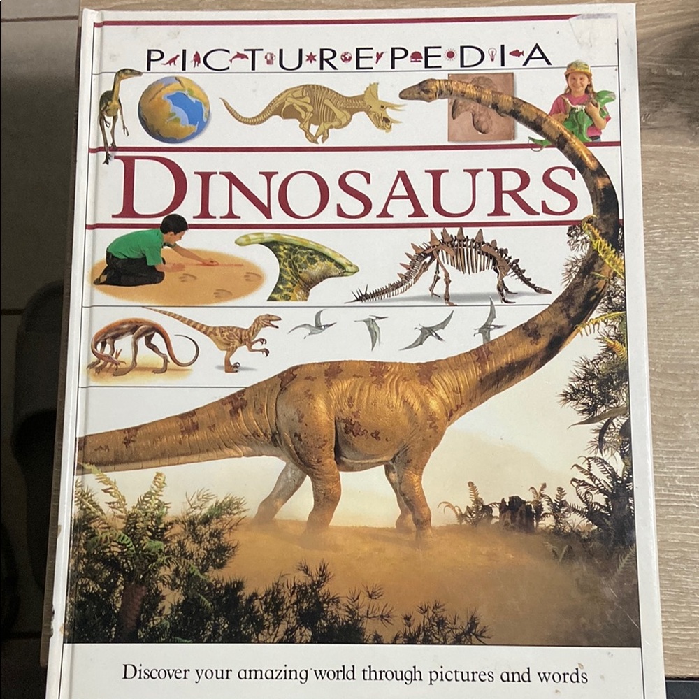 Dinosaurs (DK Picturepedia) - Hardcover Book By DK Publishing